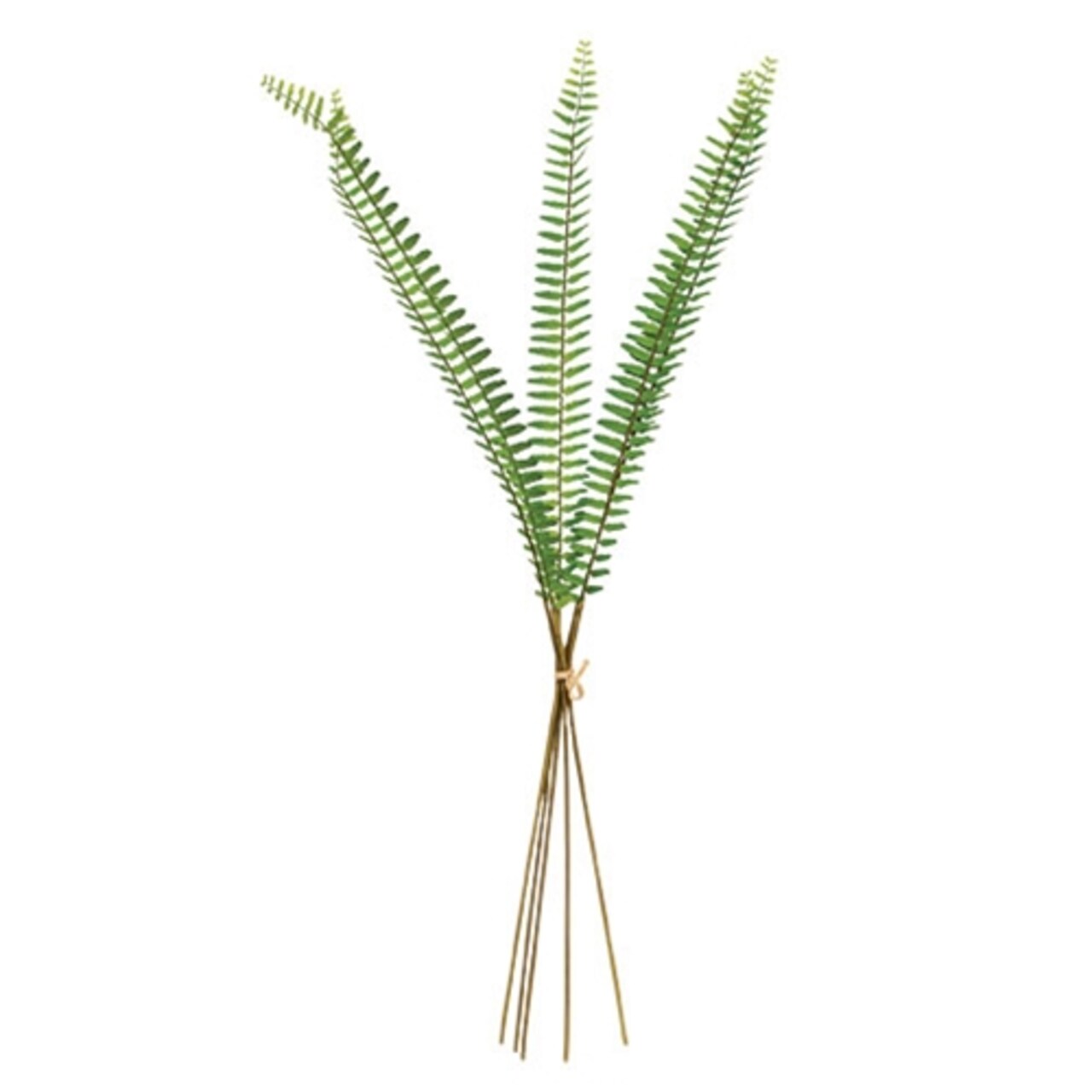 Sword Fern Bundle Artificial Greenery Stem 27 Inch Decor - Set of 3